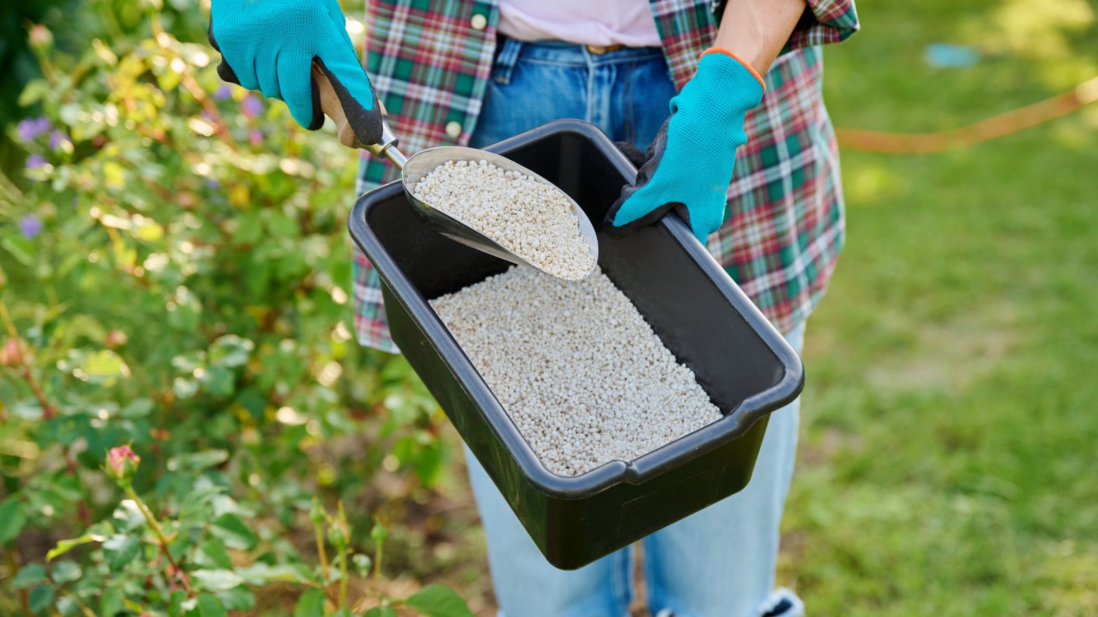 Scatola di concime granulare a lenta cessione per la nutrizione primaverile del prato.